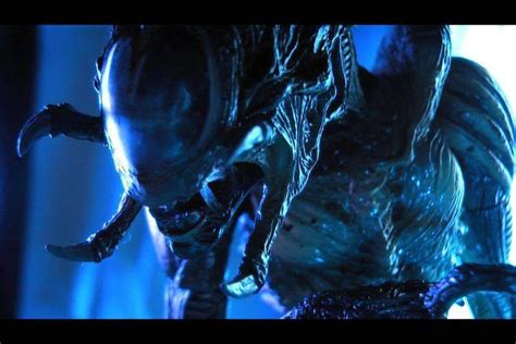 Predalien 的图像结果