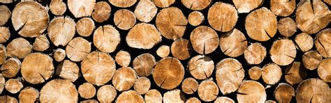 Download wallpaper tree, logs, many, section textures in resolution ...
