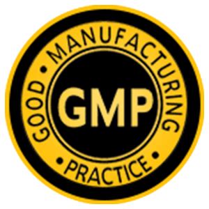 Boost Your immunity System with Ayurveda - Rasayan Churna