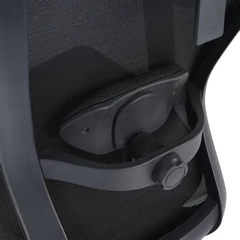 Hexon High Back Mesh Office Chair with Adjustable Arm (Black ...