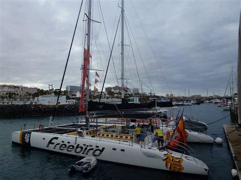 FREEBIRDONE WHALE AND DOLPHIN EXCURSION (2024) All You Need to Know ...