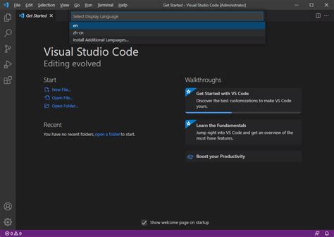 Latex Editing Tips VSCode 的图像结果