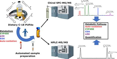 Image result for Mass Spectrometry Animation