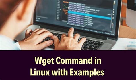 Image result for Wget Linux