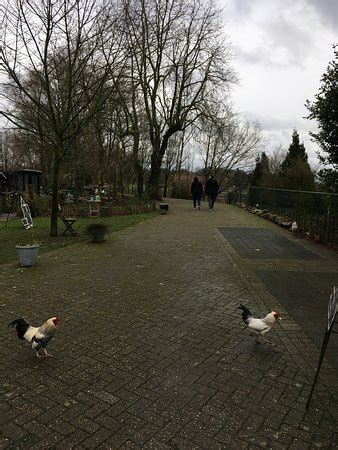 THEESCHENKERIJ HOF VAN SCHOOR, Nederweert - Restaurant Reviews, Phone ...