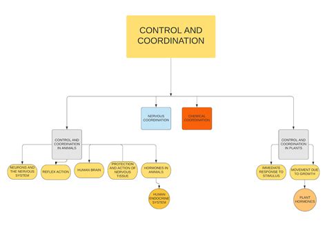 Image result for Coordination Command and Control