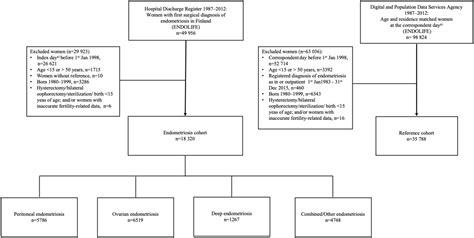 First birth and total fertility rate in women with surgically verified ...