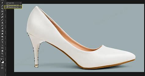 Image result for Lasso Tools Tutorial