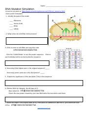 DNA Simulation Worksheet 的图像结果