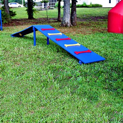 Dog Agility Equipment Dog Walk at Clifton Walters blog
