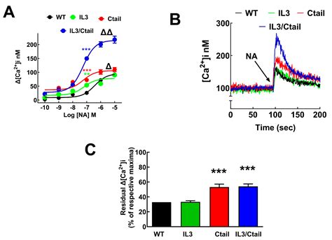 Roles of the α1B-Adrenergic Receptor Phosphorylation Domains in ...