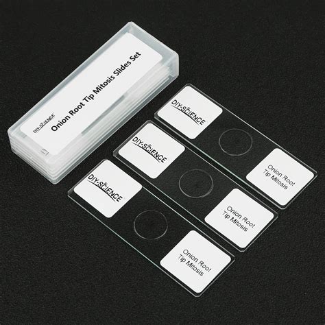 Plant Cell Microscope Slides 的图像结果