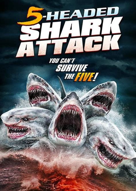 在线电影《夺命五头鲨》高清完整版免费在线 - 策驰影院