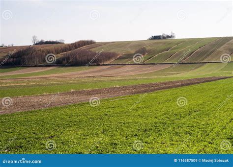 Plowed Field - Agriculture in Poland Stock Image - Image of season, springtime: 116387509
