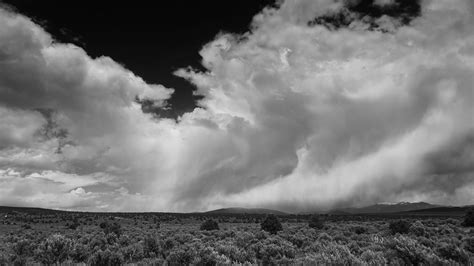 Download wallpaper 2560x1440 clouds, landscape, bw, bushes, trees ...