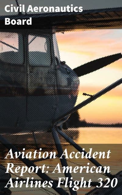 Aviation Accident Report: American Airlines Flight 320: In-depth ...