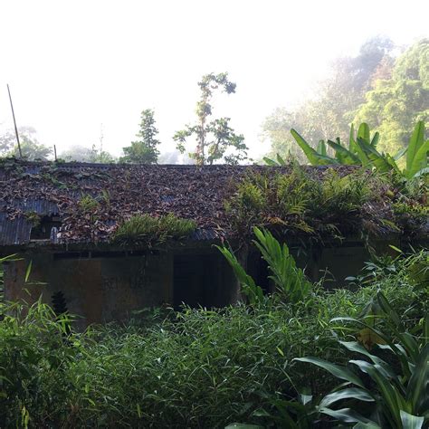 GUNUNG HITAM (2024) All You Need to Know BEFORE You Go (with Photos ...