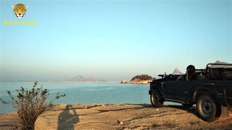 wildlife Safari in Jawai - Best Safari Price in Jawai - 9610460985