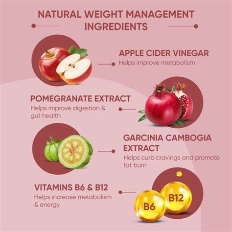 Shop Apple Cider Vinegar Effervescent Tablets Online | Dr. Vaidya's