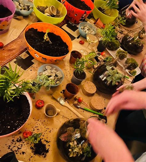 Conical Terrarium Workshop, The Engine Room, Southport, 26 October 2024 ...