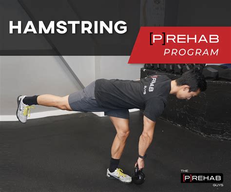 Hamstring Setting 的图像结果