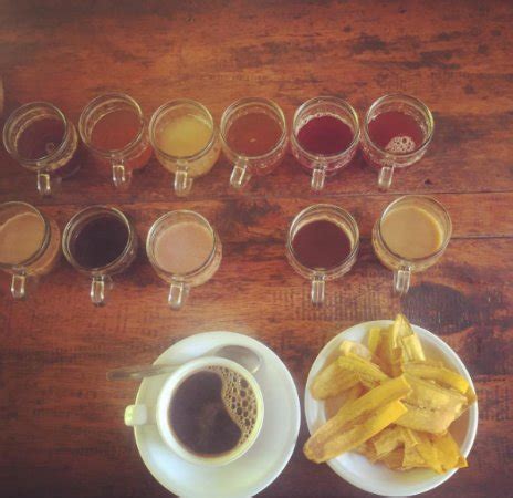 Kopi Luwak B36 - Day Tours (Kintamani) - 2022 What to Know Before You ...