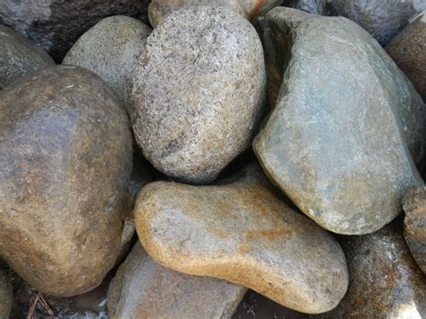 Image result for Cobble Cob