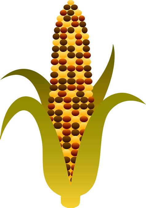 Corn Clip Art #2956285 | Clipart Library