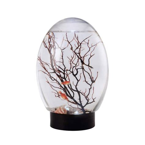 Buy Mini Aquarium Fish Tank Ecosphere Closed Aquatic Ecosystem with LED ...