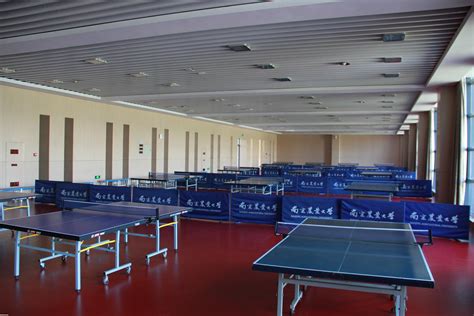 乒乓球馆-南京农业大学体育部