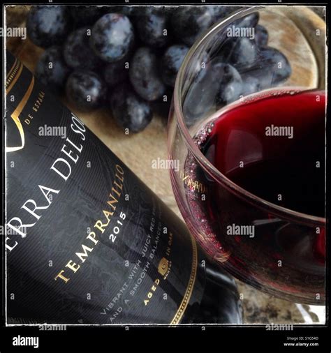 Tempranillo Wine High Resolution Stock Photography and Images - Alamy