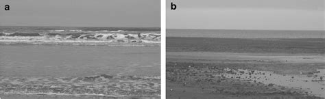 Image result for Wave Damping Example