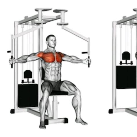 Machine Pec Fly - Exercise How-to - Workout Trainer by Skimble