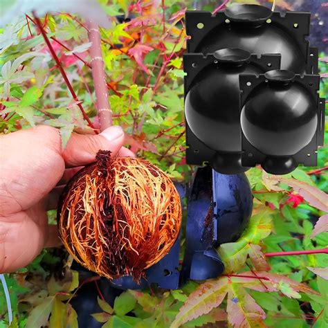 Squirrel Proof Bird Feeder | Bird Feeder that Spins Squirrels ...