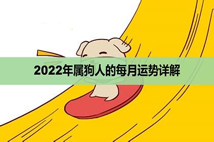 生肖狗运势2023年运程 属狗2023年运势及运程每月运程狗