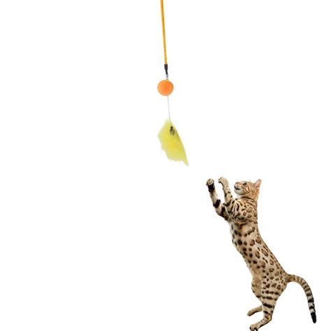 Catry Cat Toy-Cat Wands | SMBG B2B Website