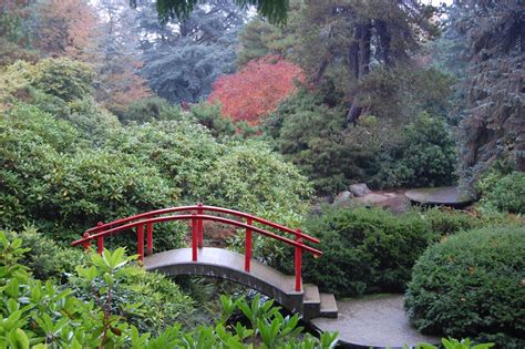 Around Seattle - Almost Weekly Pics: October 25, 2015 - Kubota Garden
