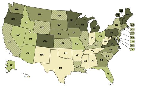 Voter Turnout 的图像结果