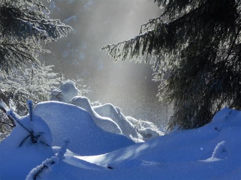 冬季雪景高清图片摄影图__自然风景_自然景观_摄影图库_昵图网nipic.com