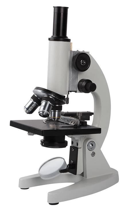 Basic Microscope Use 的图像结果