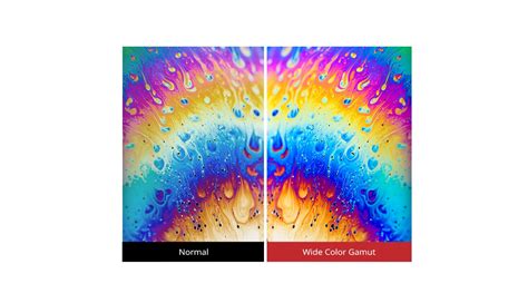 ViewSonic VX2458-C-mhd 24" Curved Gaming Monitor - ViewSonic भारत, India