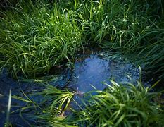 Image result for ground water