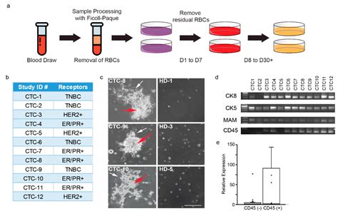Efficient Propagation of Circulating Tumor Cells: A First Step for ...