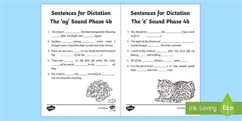 Northern Ireland Literacy Linguistic Phonics Stage 5 and 6, Phase 4b ...