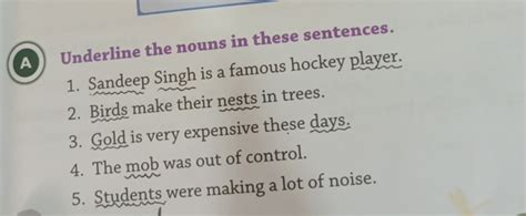 (A) Underline the nouns in these sentences. Sandeep Singh is a famous hoc..