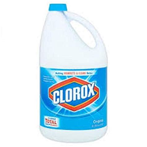CLOROX LIQ BLCH ORIGINAL 2 L : Amazon.in: Health & Personal Care