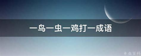 家里每天都会飞来一只鸟，有人认识吗？-重庆杂谈-重庆购物狂