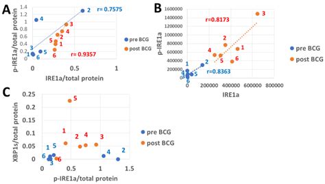 Testing Protein Stress Signals in Peripheral Immunocytes Under the Same ...