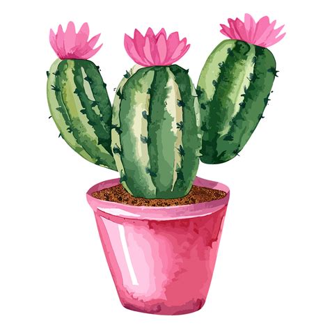 Explore 22,246+ Free Plant Parts Illustrations: Download Now - Pixabay