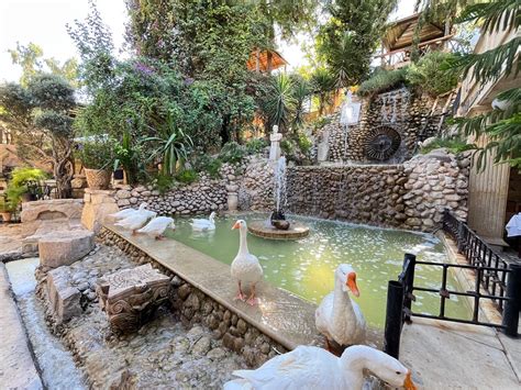YAHALA JALSAT RESTAURANT | JARASH, Jerash - Menu, Prices & Restaurant ...